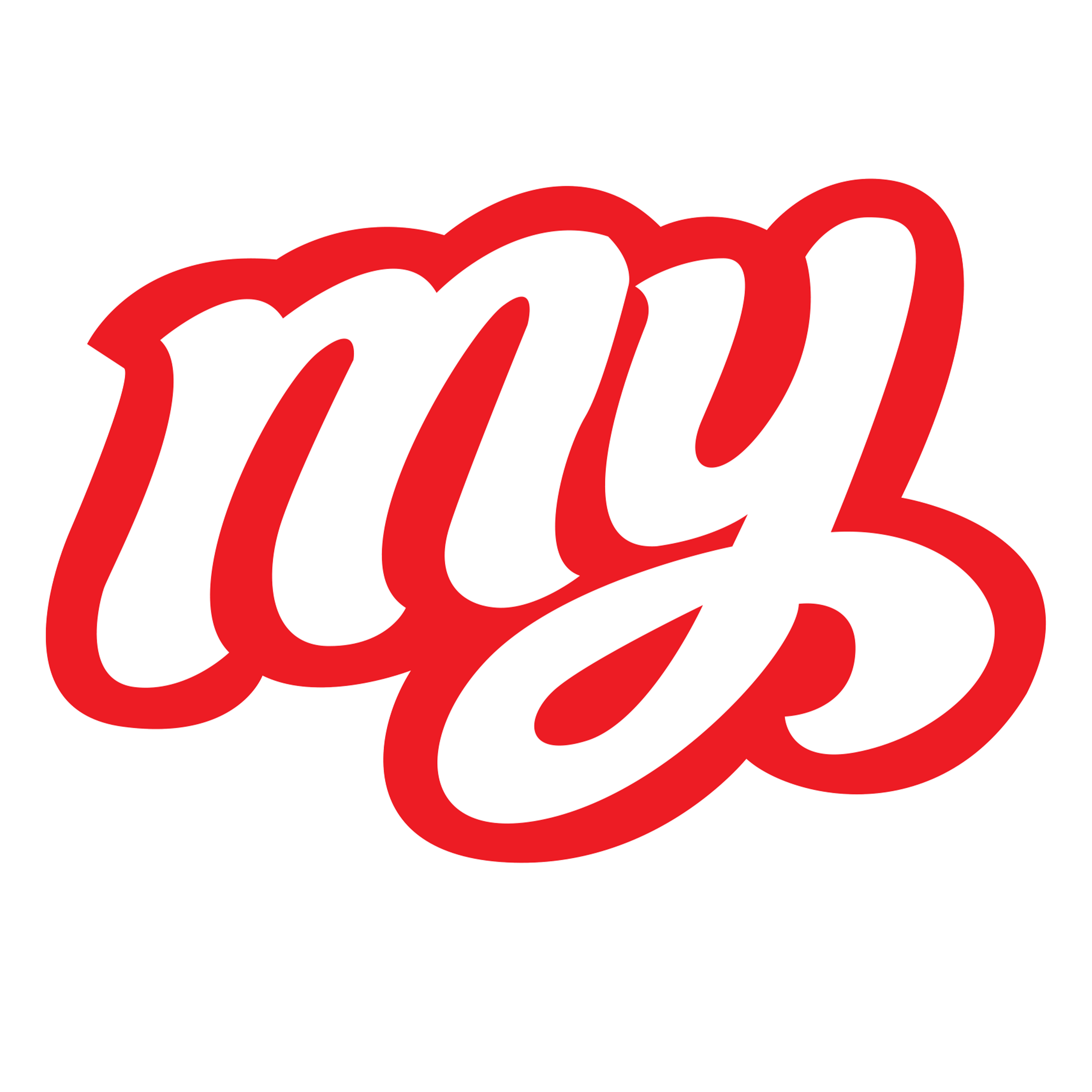 MY